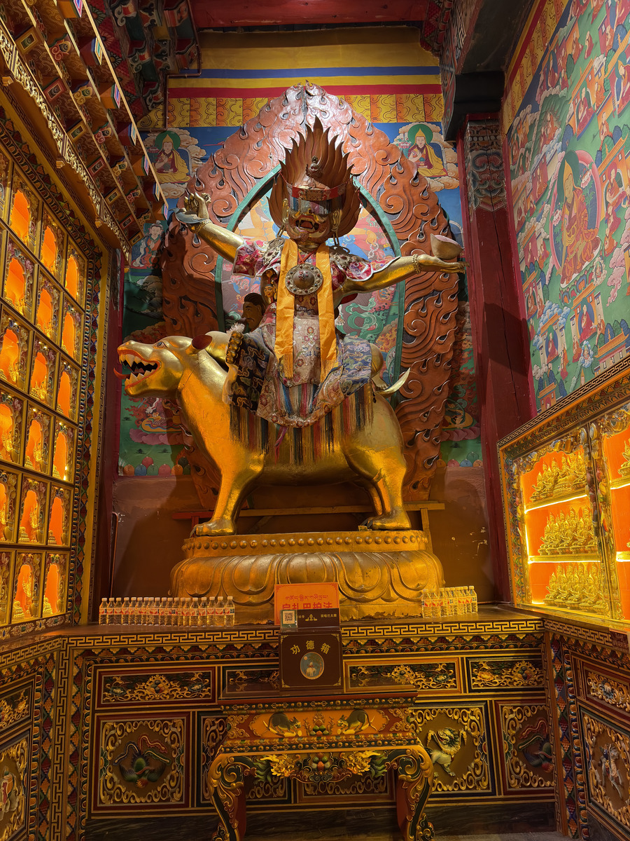 รูปถ่าย จีน(China) แชงกรี-ลา(Shangri La) 2026-01 181