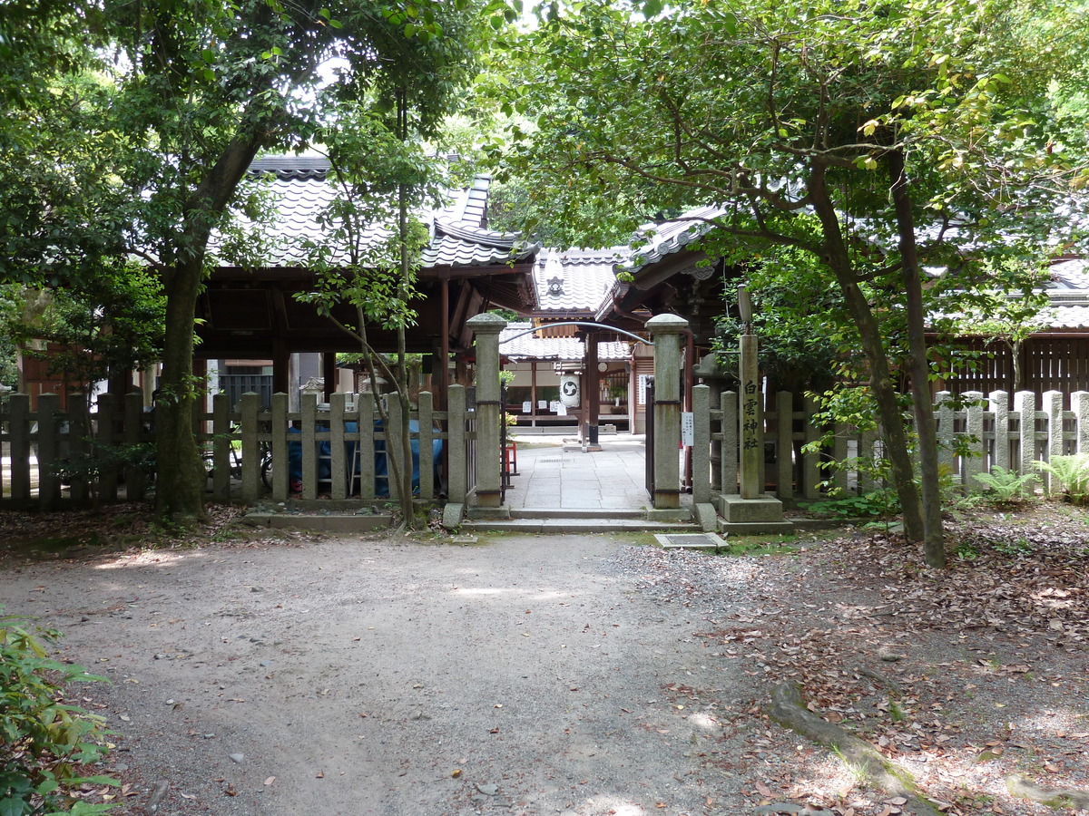 รูปถ่าย ญี่ปุ่น(Japan) เกียวโต(Kyoto) สวนเกียวโตเกียวเอ็ง(Kyoto Gyoen Garden) 2010-06 40