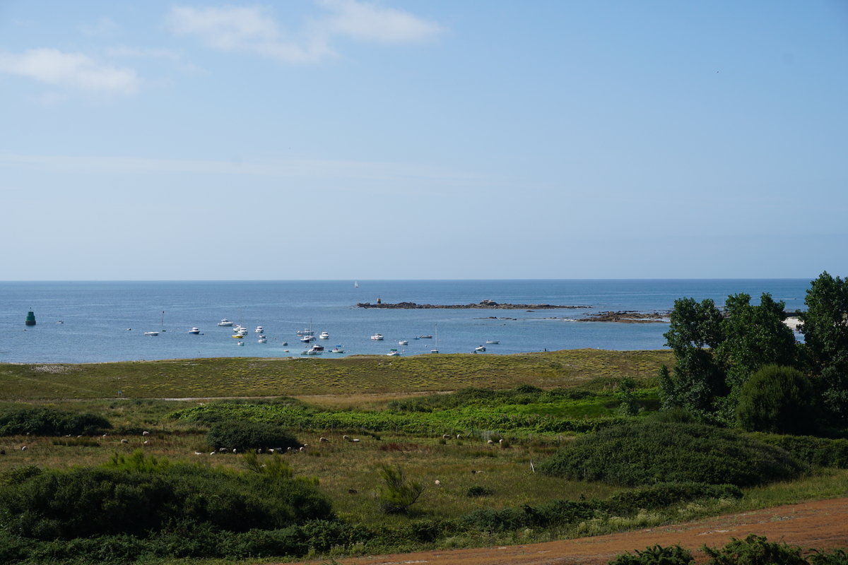 รูปถ่าย ฝรั่งเศส(France) เกาะเอดิก(Hoedic) 2016-08 100
