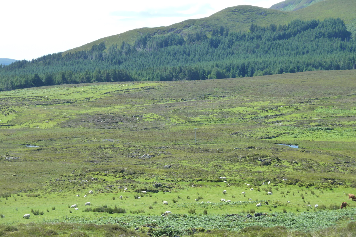 รูปถ่าย อังกฤษ(United Kingdom) เกาะสกาย(Skye) เทือกเขาคูลิน(The Cuillin) 2011-07 34