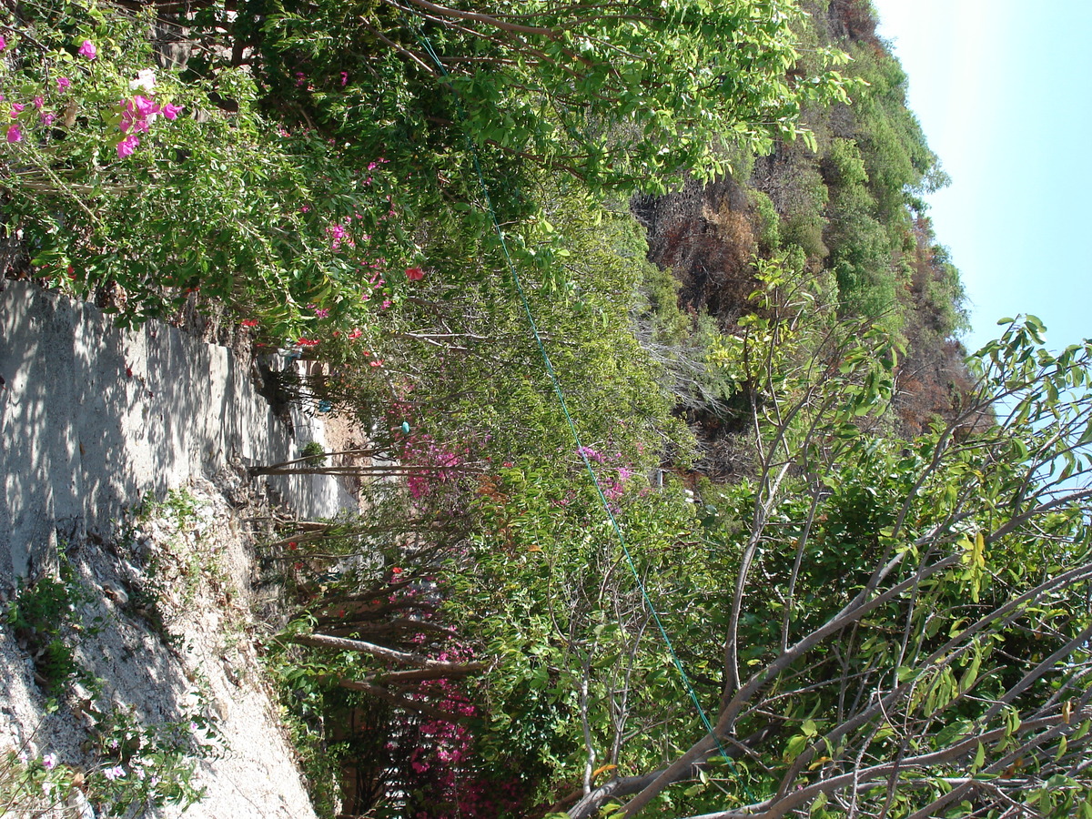 รูปถ่าย ไทย(Thailand) พัทยา(Pattaya) เกาะล้าน(Ko Larn) 2006-04 42