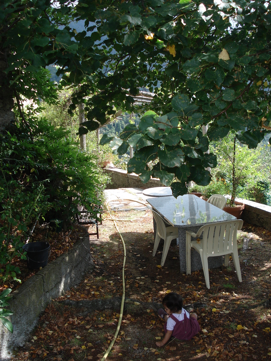 รูปถ่าย ฝรั่งเศส(France) คอร์สิคา(Corsica) วัลเล-ดาเลซานี(Valle d'alesani) 2006-09 16