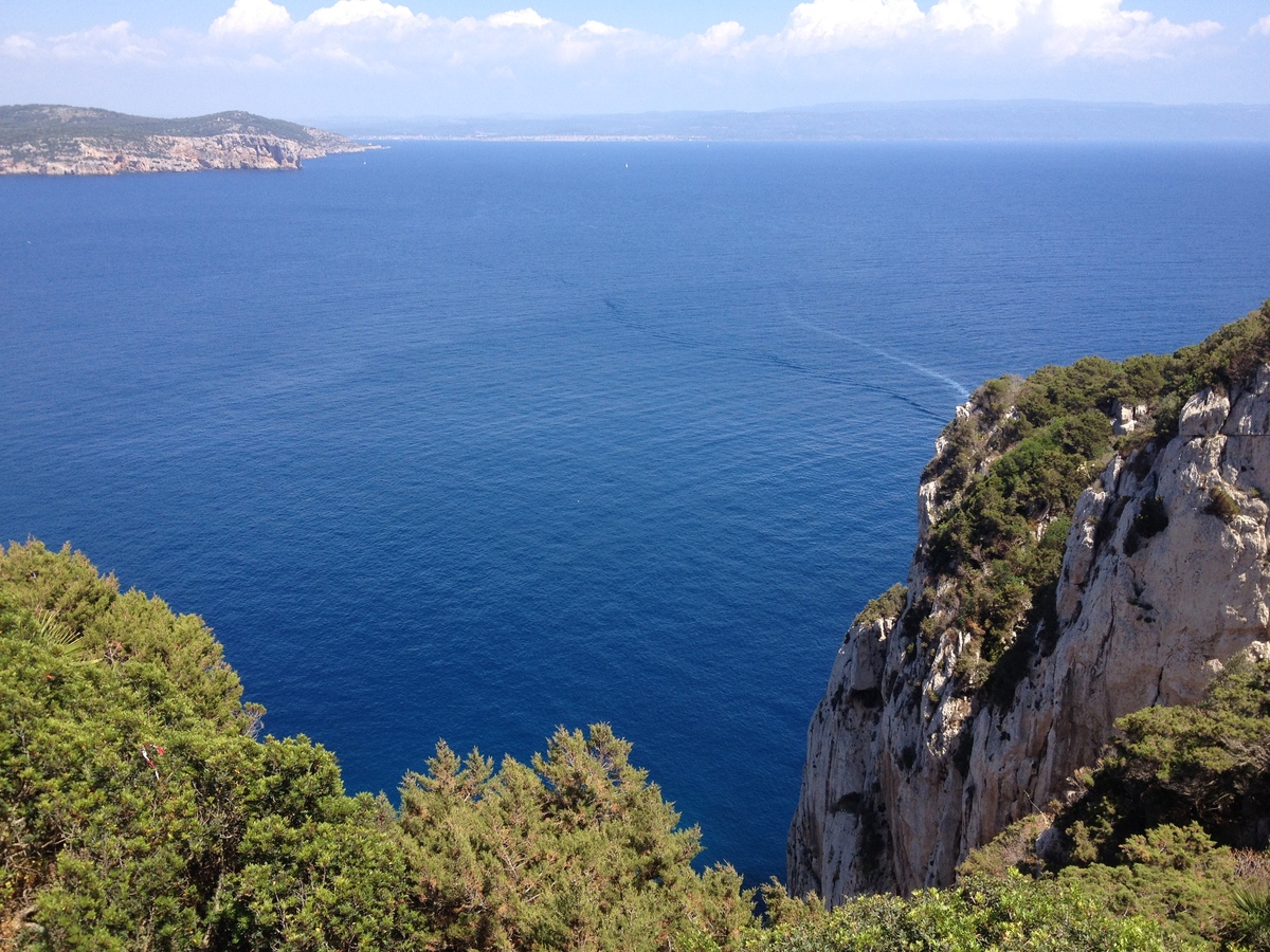 รูปถ่าย อิตาลี(Italy) ซาร์ดิเนีย(Sardinia) อุทยานธรรมชาติปอร์โตกอนเต(Porto Conte Regional Natural Park) 2015-06 55