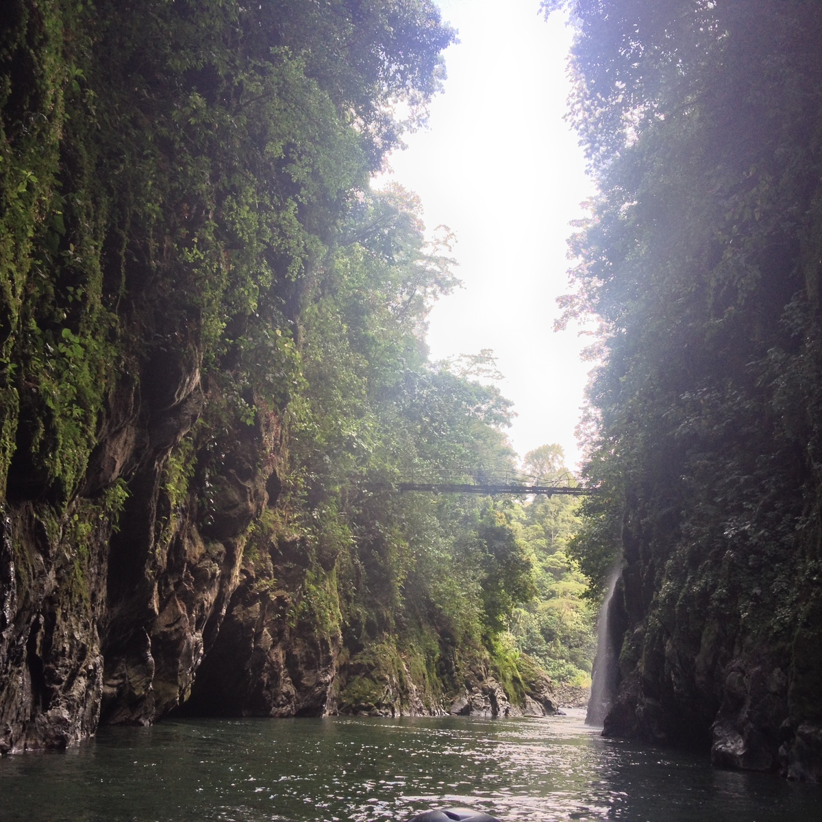 รูปถ่าย คอสตาริกา(Costa Rica) แม่น้ำปากัวเร(Pacuare River) 2015-03 171
