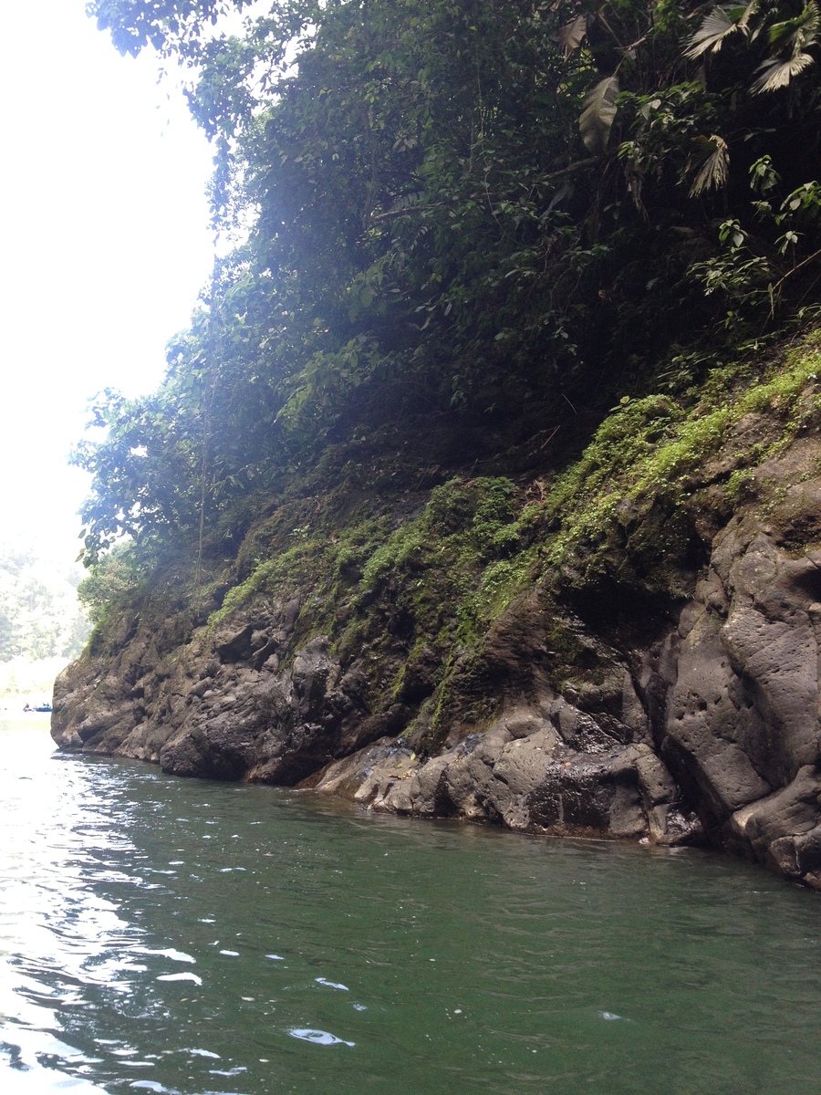 รูปถ่าย คอสตาริกา(Costa Rica) แม่น้ำปากัวเร(Pacuare River) 2015-03 154