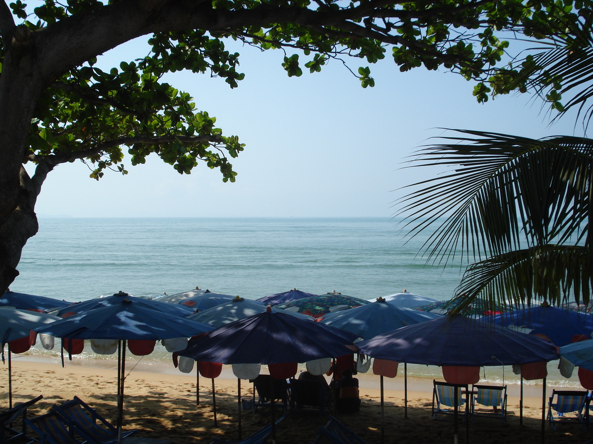 รูปถ่าย ไทย(Thailand) จอมเทียน(Jomtien) ริมทะเลจอมเทียน(Jomtien Seashore) 2008-01 183
