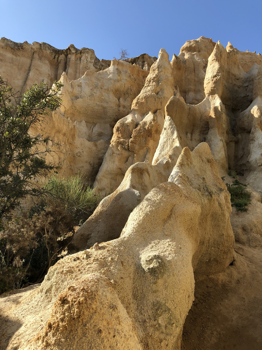 รูปถ่าย ฝรั่งเศส(France) เสาหินออร์กดีล-ซูร์-แต็ต(Orgues d'Ille Sur Tet) 2018-04 5