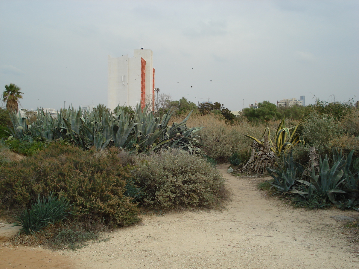 รูปถ่าย อิสราเอล(Israel) เทลอาวีฟ(Tel Aviv) ชายหาดเทลอาวีฟ(Tel Aviv Sea Shore) 2006-12 286