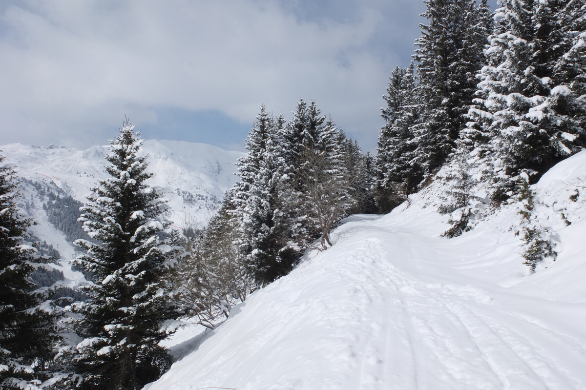 รูปถ่าย ฝรั่งเศส(France) เลทรัววาเล(Les 3 Vallees) 2013-03 302