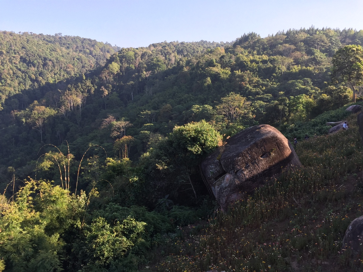 รูปถ่าย ไทย(Thailand) อุทยานแห่งชาติภูหินร่องกล้า(Phu Hin Rong Kla National Park) 2014-12 242