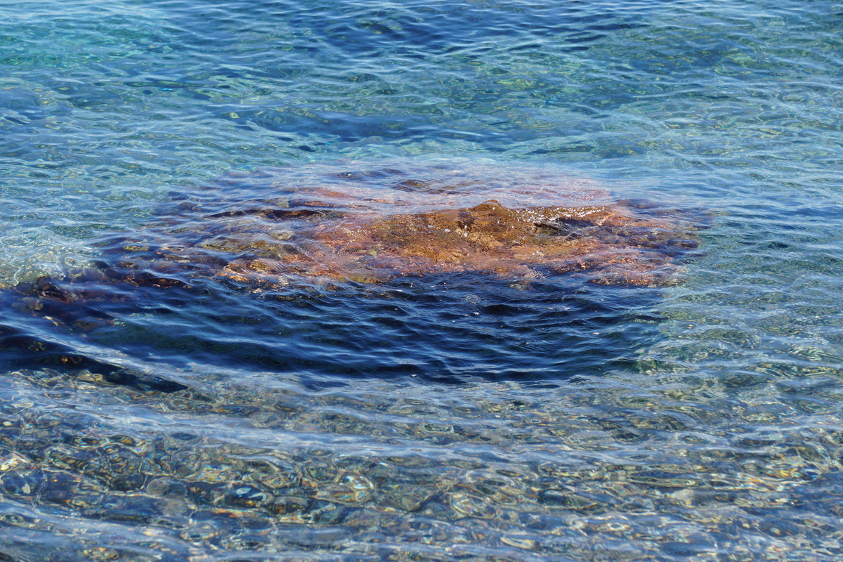 รูปถ่าย ฝรั่งเศส(France) คอร์สิคา(Corsica) หาดรอนดีนารา(Rondinara Beach) 2017-07 10