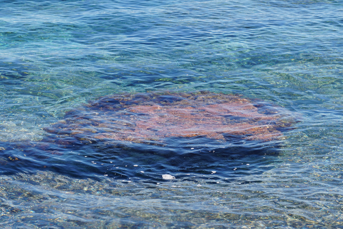 รูปถ่าย ฝรั่งเศส(France) คอร์สิคา(Corsica) หาดรอนดีนารา(Rondinara Beach) 2017-07 11
