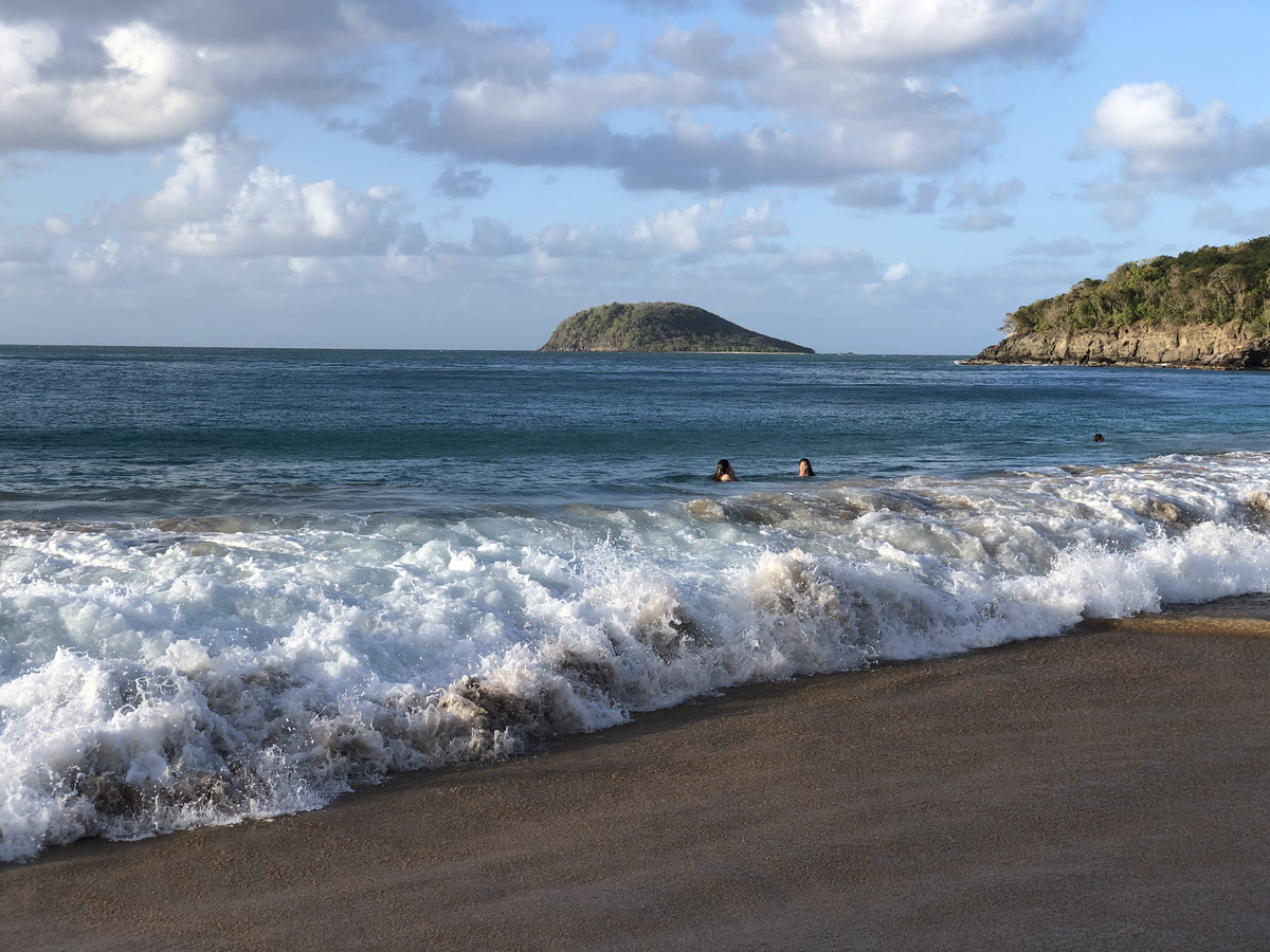 รูปถ่าย กวาเดอลูป(Guadeloupe) หาดลาแปร์ล(La Perle Beach) 2021-02 133