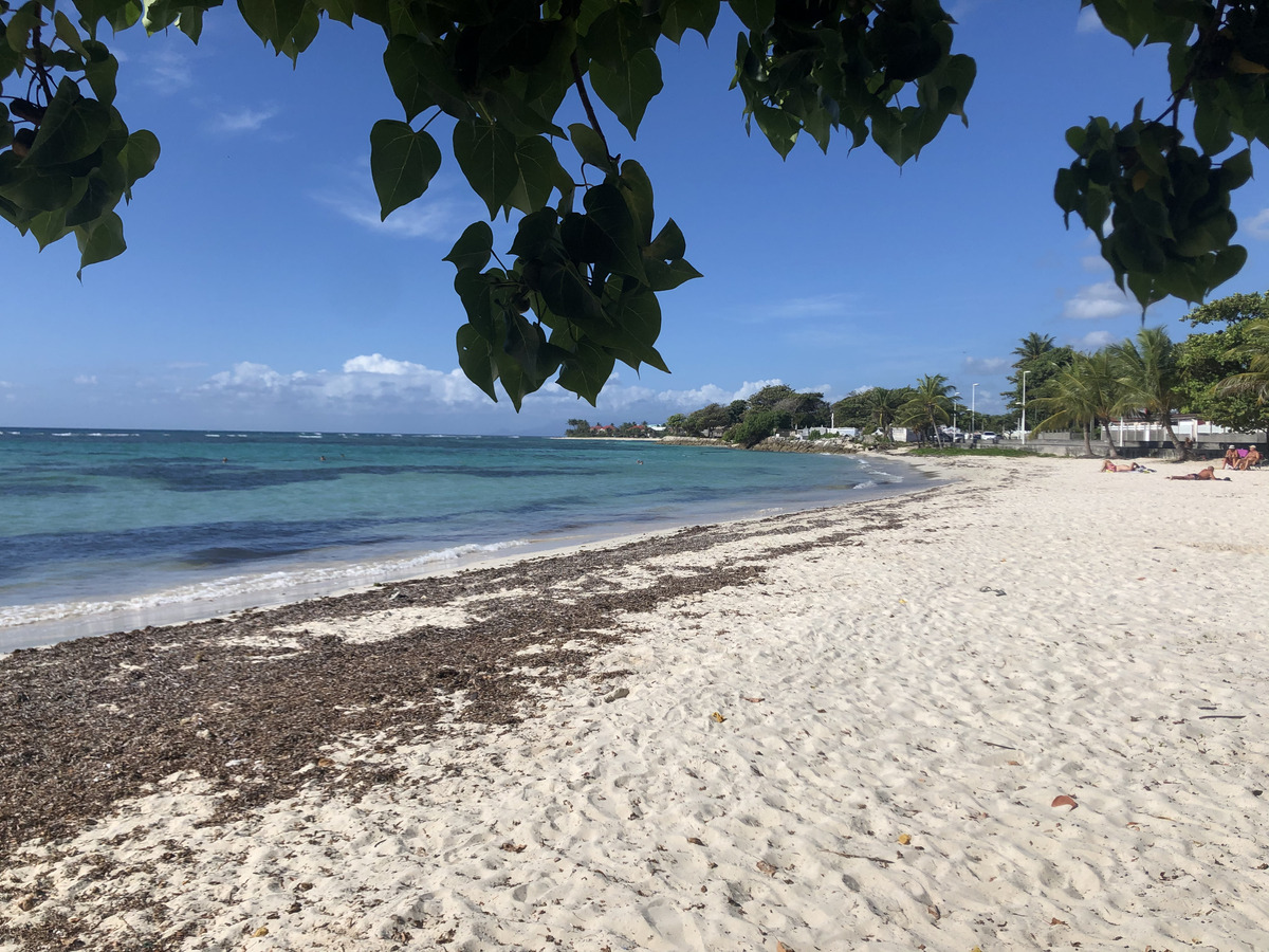 รูปถ่าย กวาเดอลูป(Guadeloupe) แซ็งฟร็องซัว(Saint Francois) 2021-02 55