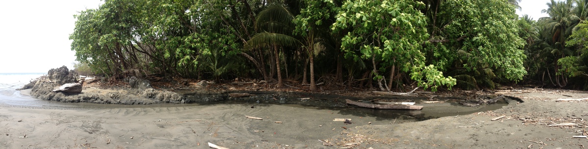 รูปถ่าย คอสตาริกา(Costa Rica) มอนเตซูมา(Montezuma) 2015-03 259