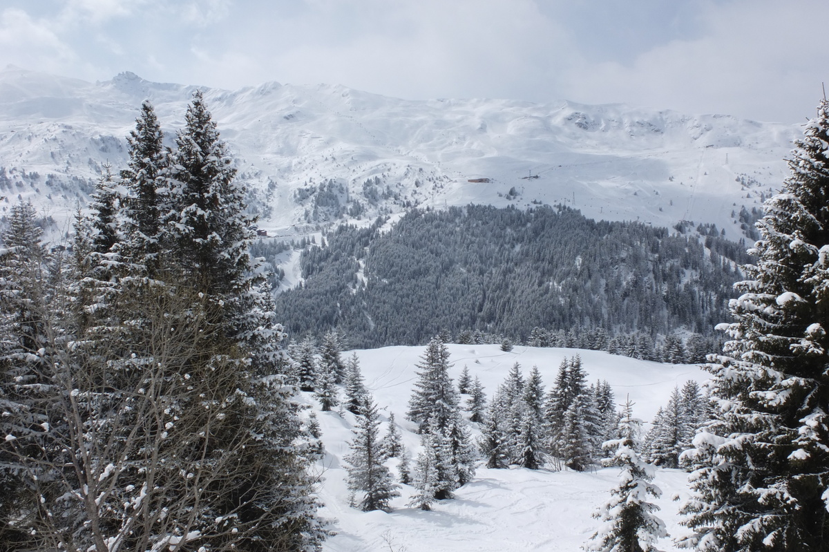 รูปถ่าย ฝรั่งเศส(France) เลทรัววาเล(Les 3 Vallees) 2013-03 329