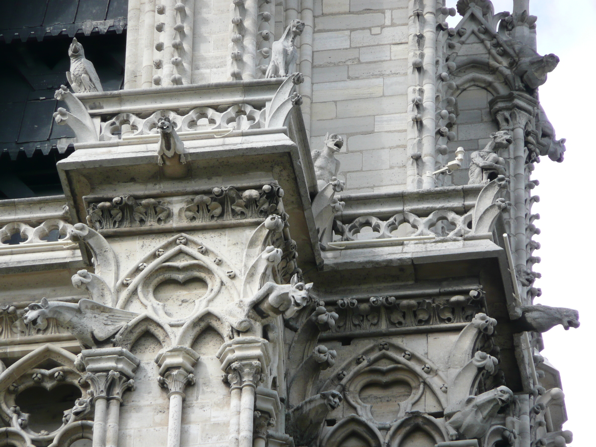 รูปถ่าย ฝรั่งเศส(France) ปารีส(Paris) มหาวิหารน็อทร์-ดาม(Notre Dame) 2007-05 194