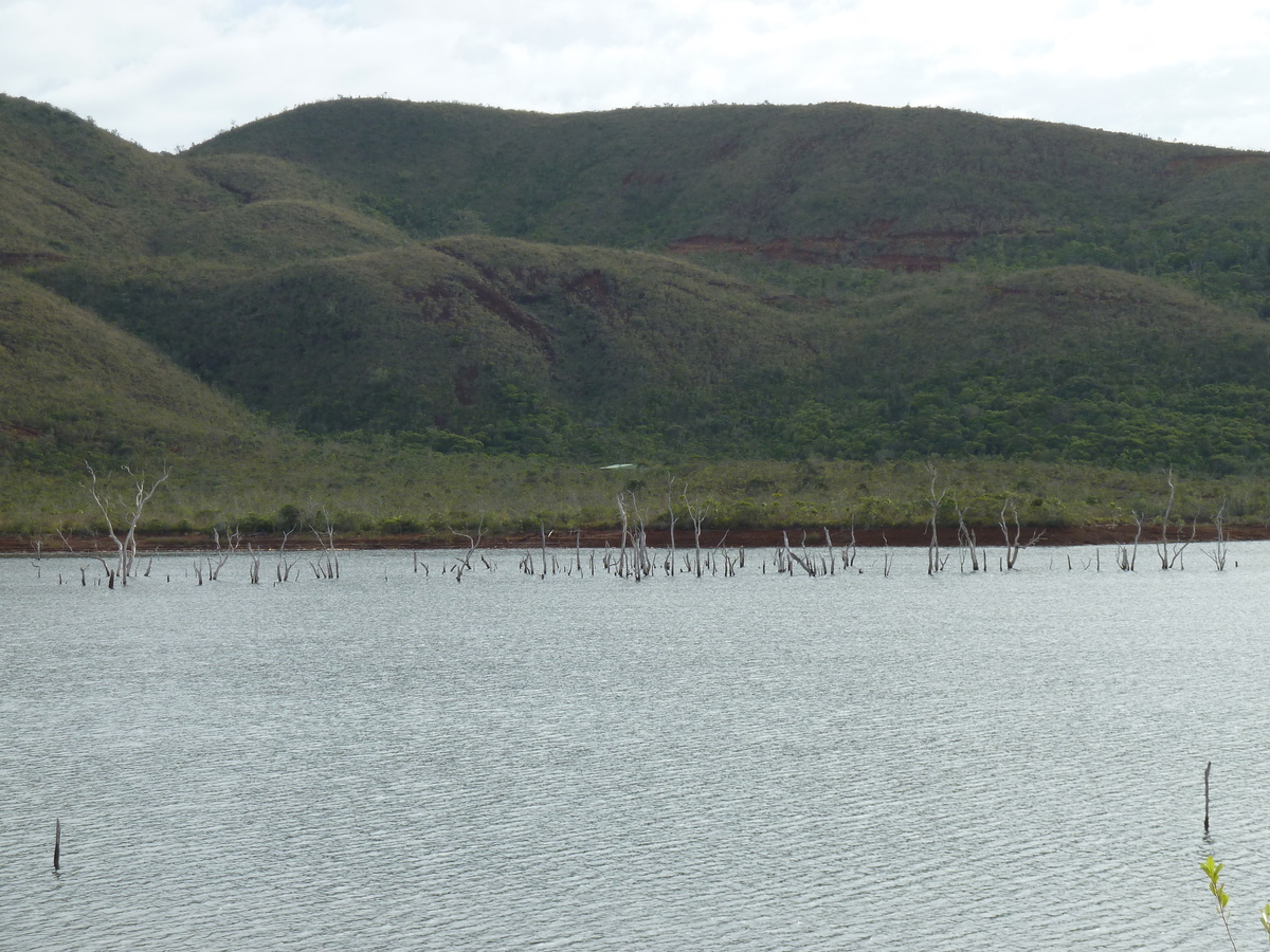 รูปถ่าย นิวแคลิโดเนีย(New Caledonia) อุทยานริเวียร์เบลอ(Parc de la Riviere Bleue) 2010-05 47