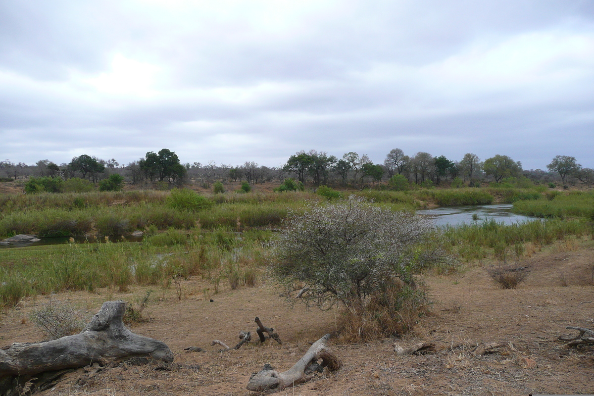 รูปถ่าย แอฟริกาใต้(South Africa) อุทยานแห่งชาติครูเกอร์(Kruger National Park) แม่น้ำซาเบิล(Sable River) 2008-09 23