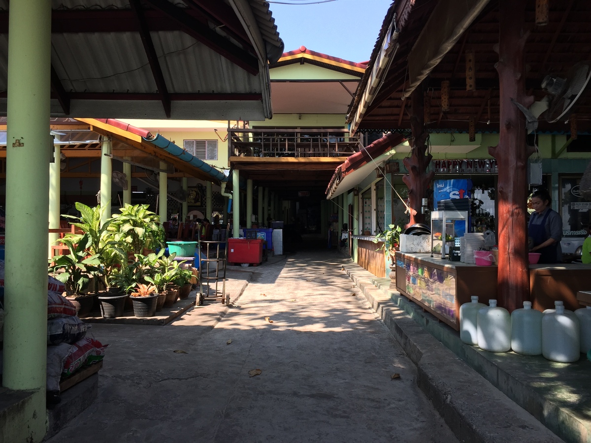 รูปถ่าย ไทย(Thailand) เกาะเสม็ด(Ko Samet) 2016-01 113