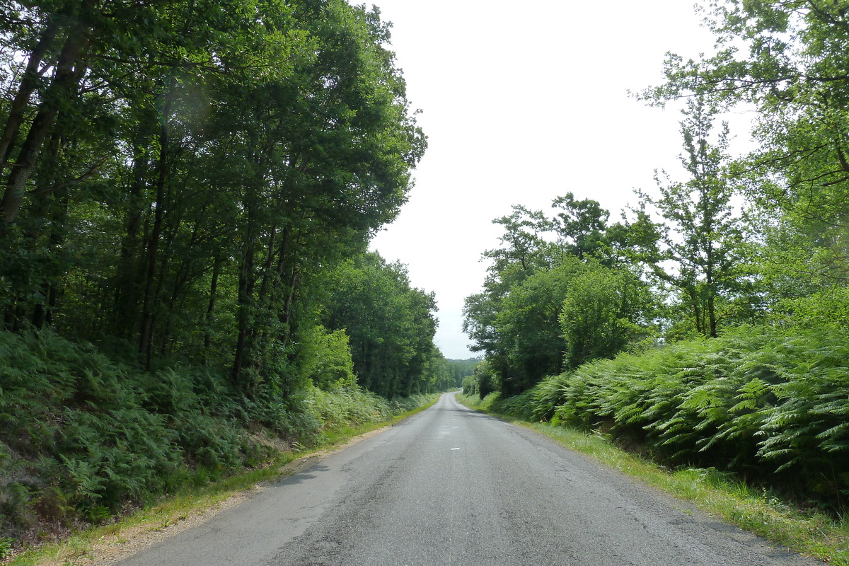 รูปถ่าย ฝรั่งเศส(France) โซมูร์(Saumur) 2011-05 35