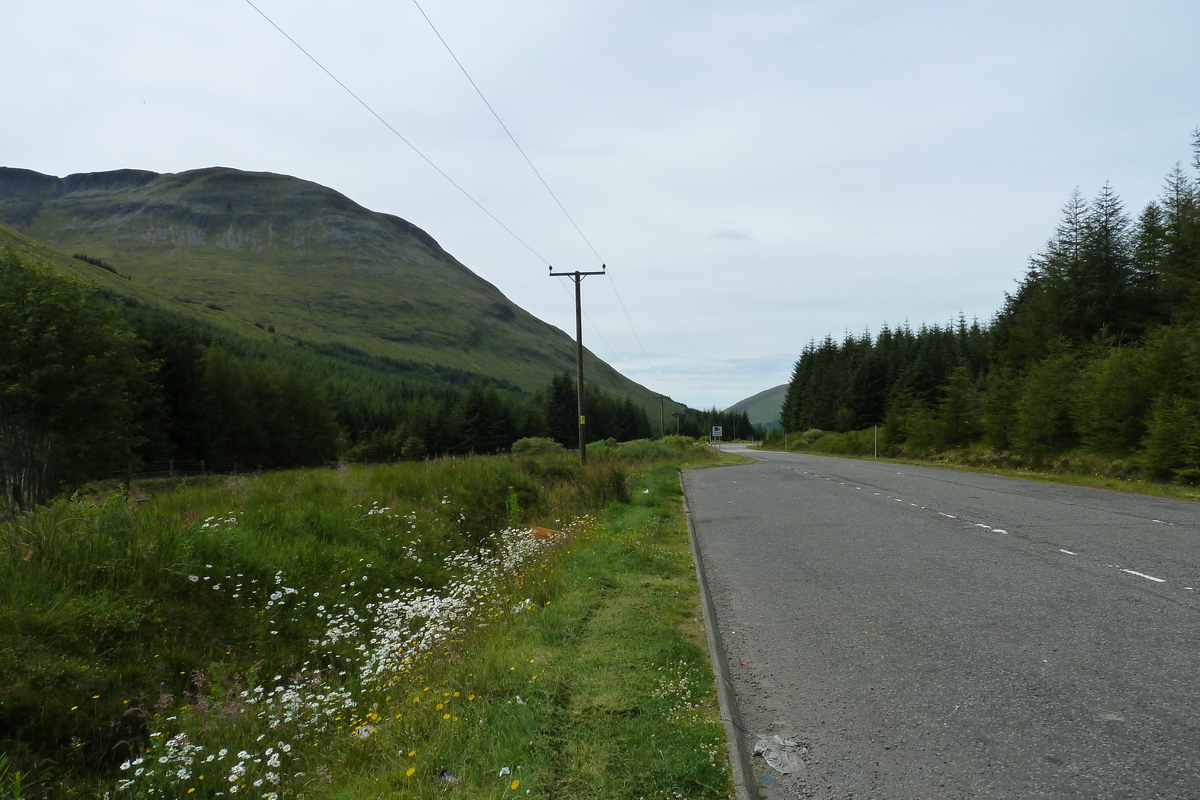 รูปถ่าย อังกฤษ(United Kingdom) ทรอสซักส์(The Trossachs) 2011-07 53