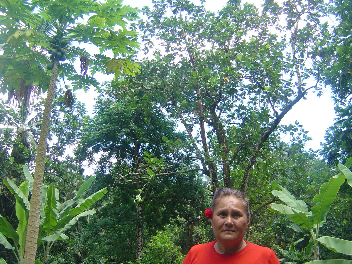 รูปถ่าย เฟรนช์โพลี่นีเซีย(Polynesia) หมู่เกาะมาร์เคซัส(Marquises) 2006-04 121