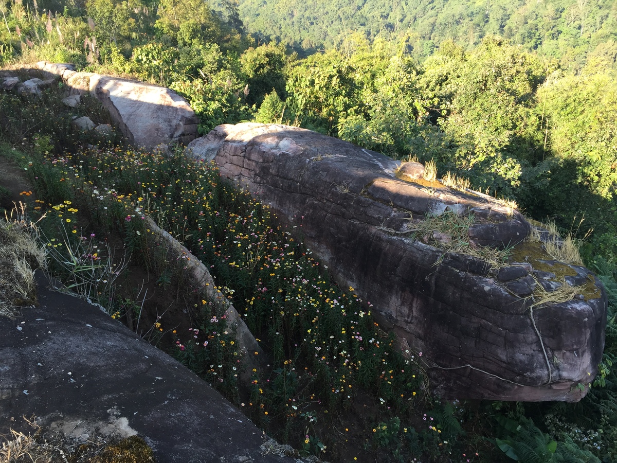 รูปถ่าย ไทย(Thailand) อุทยานแห่งชาติภูหินร่องกล้า(Phu Hin Rong Kla National Park) 2014-12 253