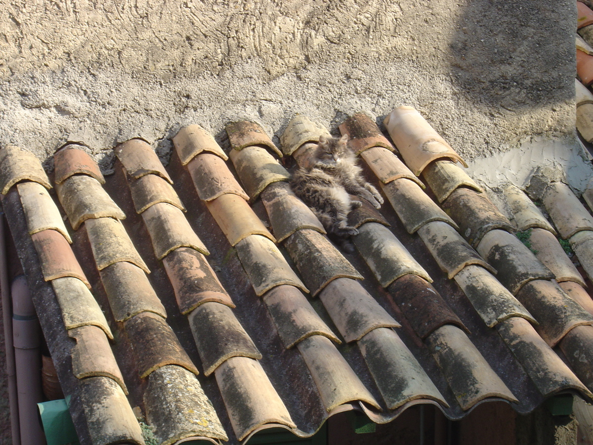 รูปถ่าย ฝรั่งเศส(France) โอต์-เดอ-คาญ(Les Hauts de Cagnes) 2006-01 50