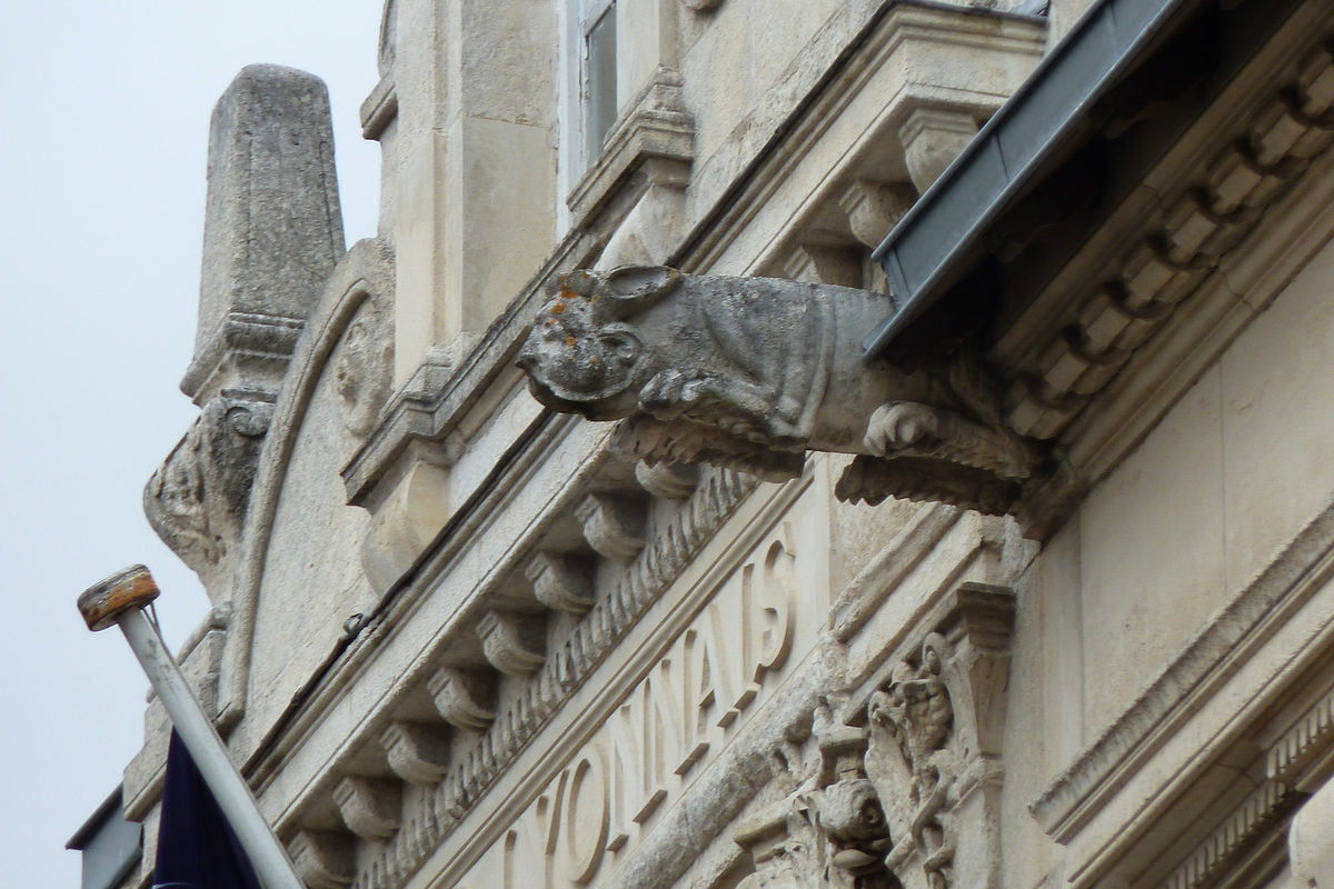 รูปถ่าย ฝรั่งเศส(France) ลาโรแชล(La Rochelle) 2010-08 19