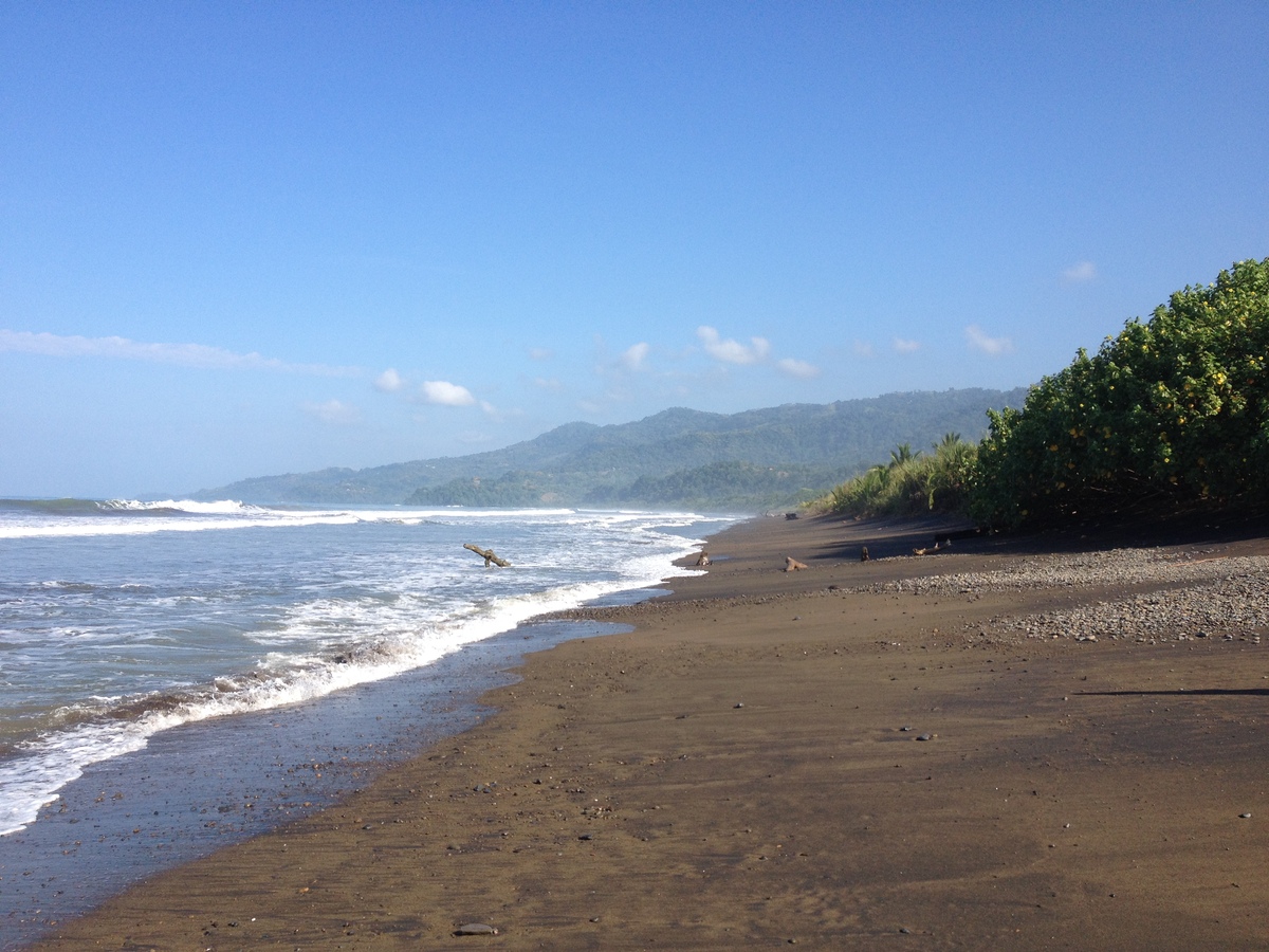 รูปถ่าย คอสตาริกา(Costa Rica) อูบีตา(Uvita) 2015-03 94
