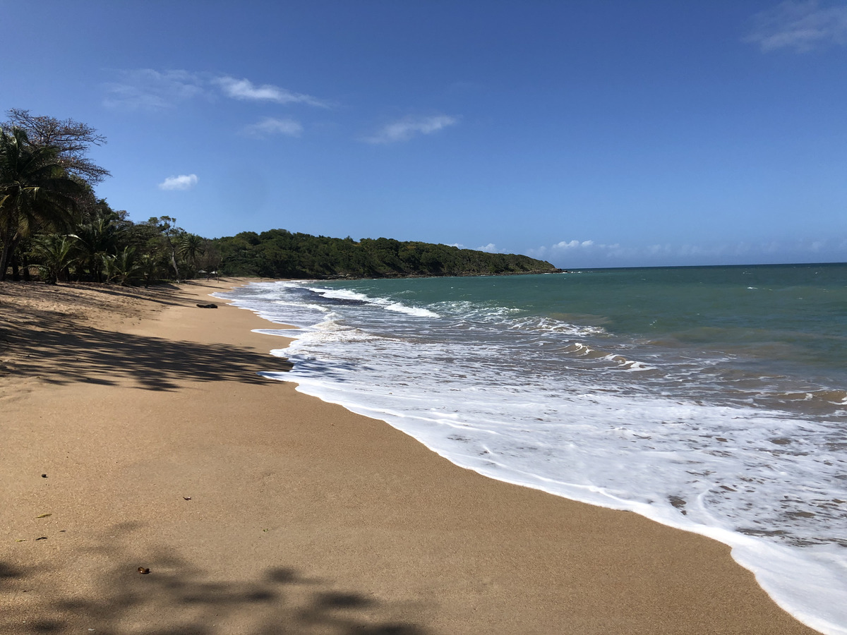รูปถ่าย กวาเดอลูป(Guadeloupe) แซ็นต์โรส(Sainte Rose) 2021-02 8