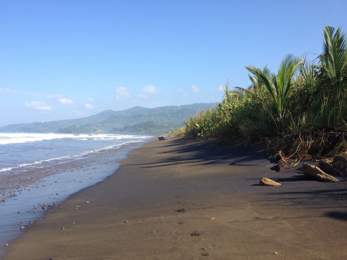 รูปถ่าย คอสตาริกา(Costa Rica) อูบีตา(Uvita) 2015-03 20