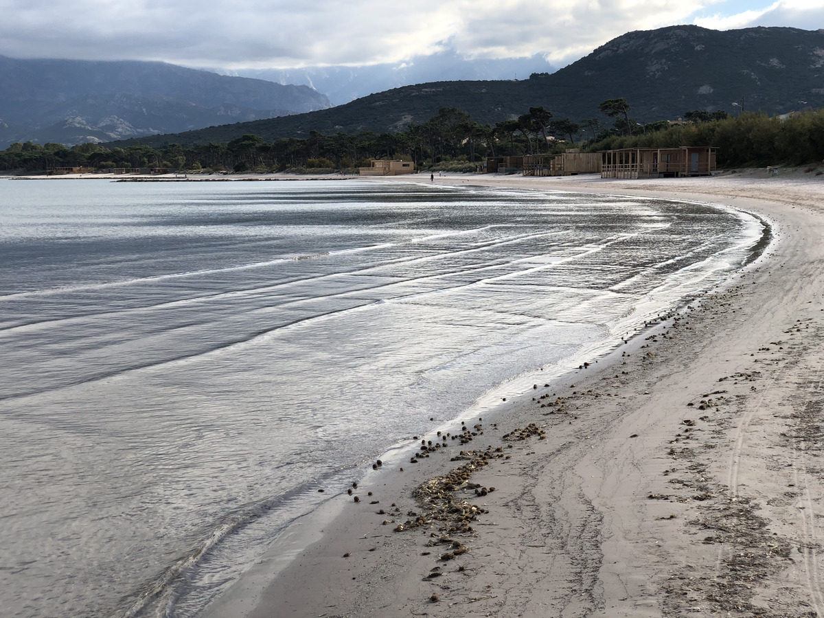 รูปถ่าย ฝรั่งเศส(France) คอร์สิคา(Corsica) คาลวี(Calvi) 2020-10 10