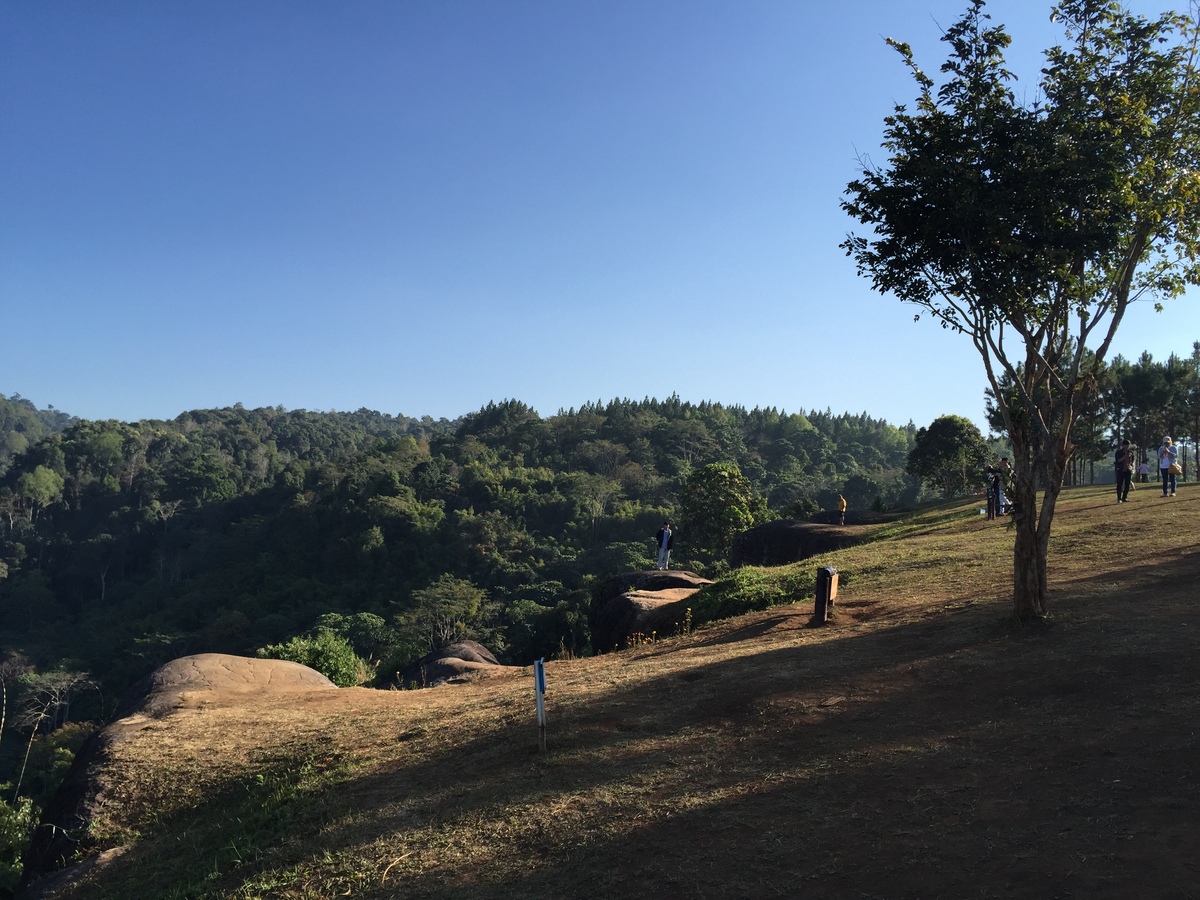 รูปถ่าย ไทย(Thailand) อุทยานแห่งชาติภูหินร่องกล้า(Phu Hin Rong Kla National Park) 2014-12 293