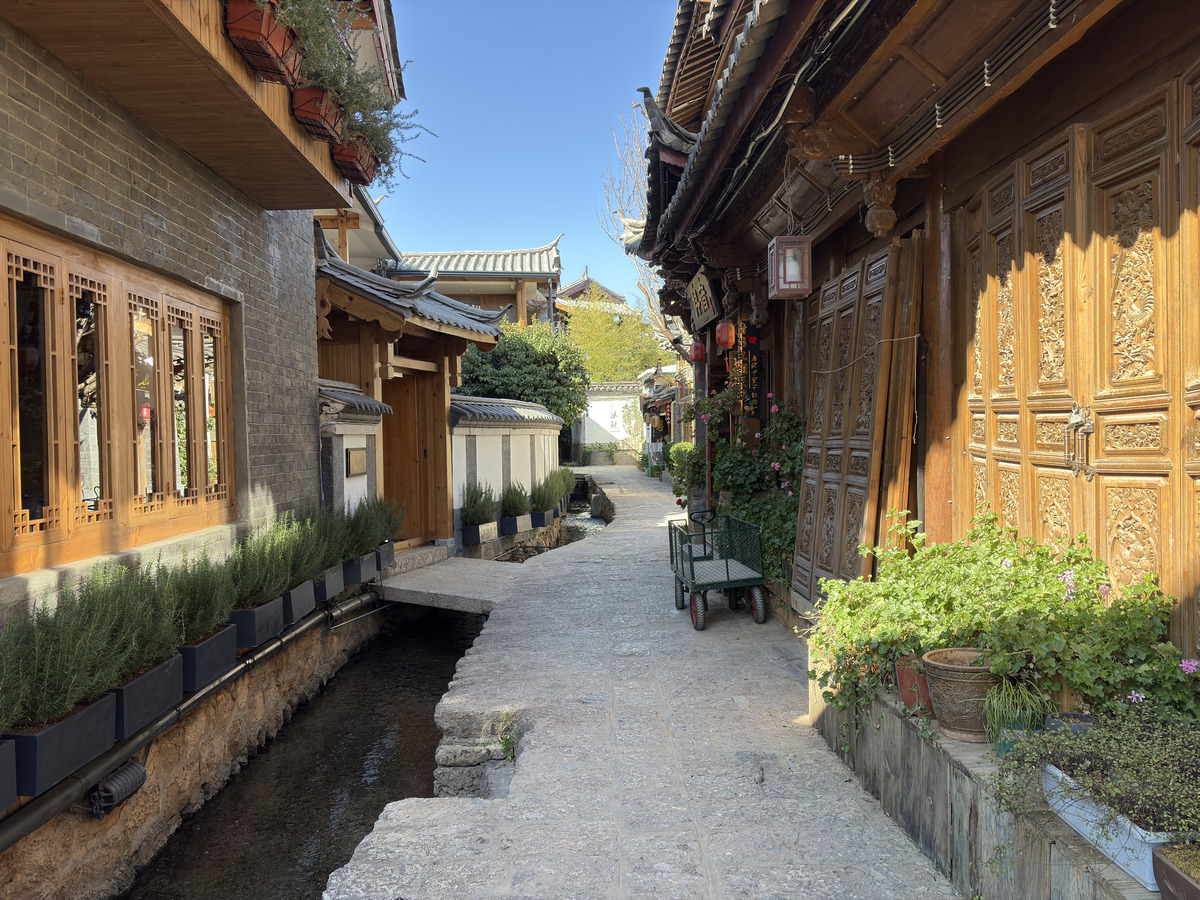 รูปถ่าย จีน(China) ลี่เจียง(Lijiang) 2026-01 244