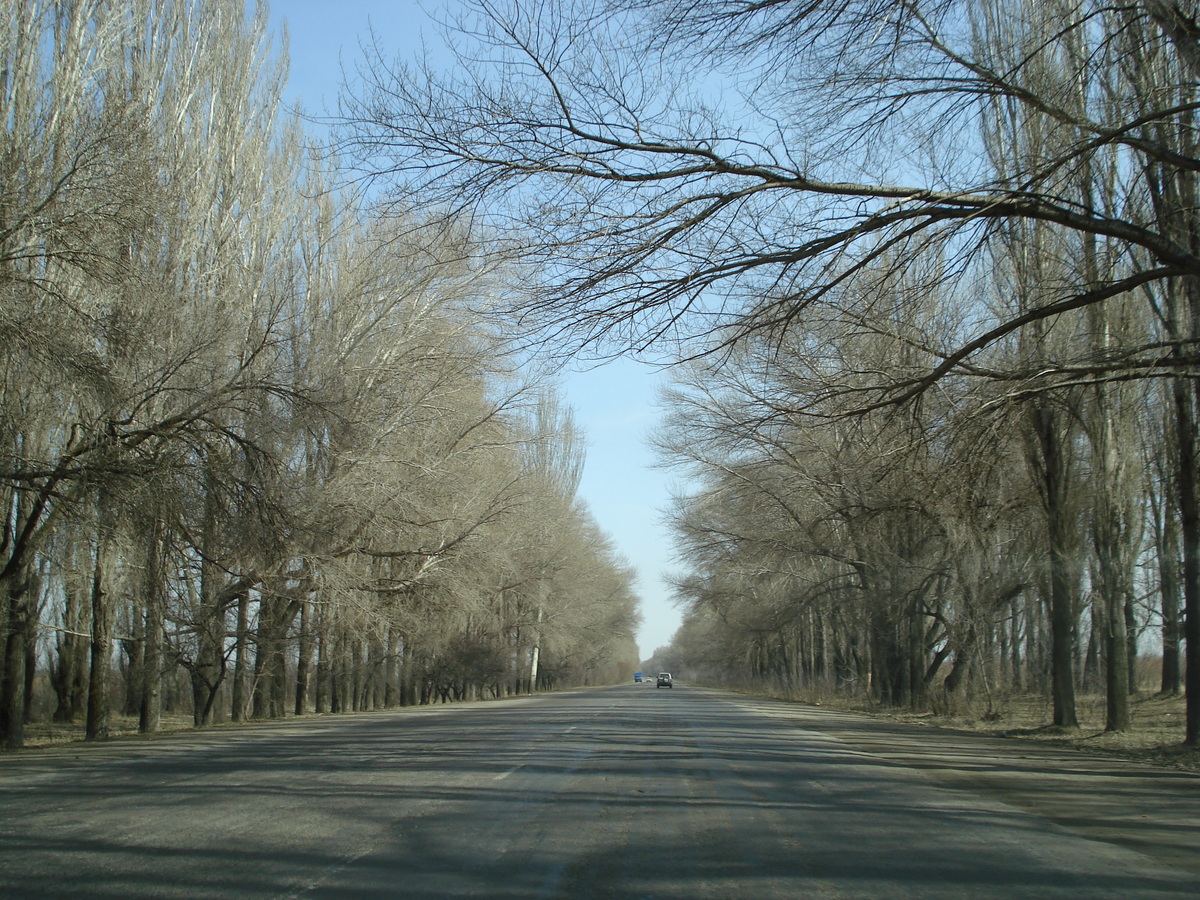 รูปถ่าย คาซัคสถาน(Kazakhstan) ถนนจากอัลมาตีไปหุบผาชารึน(Almaty to Charyn Canyon road) 2007-03 27