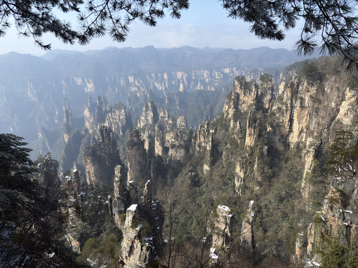 รูปถ่าย จีน(China) จางเจียเจี้ย(Zhangjiajie) ภูเขาเทียนจื่อ(Tianzi Mountain) 2026-01 397