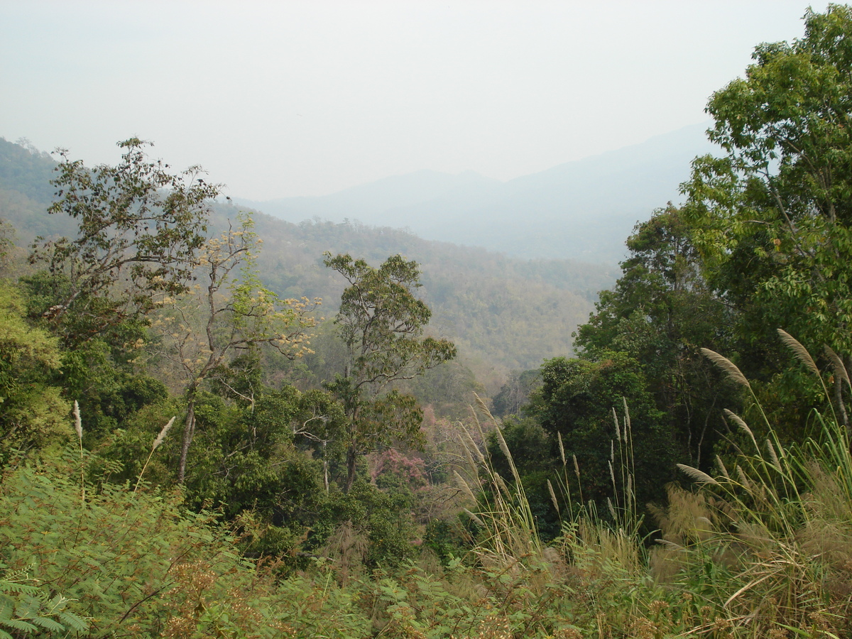 รูปถ่าย ไทย(Thailand) ถนนจากเชียงใหม่ไปปาย(Chiang Mai to Pai road) 2007-02 133