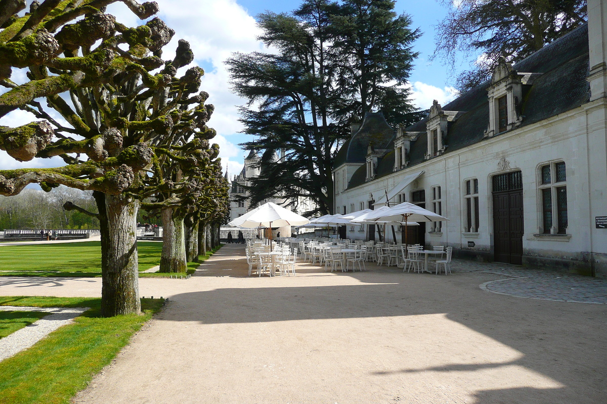 รูปถ่าย ฝรั่งเศส(France) ปราสาทเชอนงโซ(Chenonceau Castle) สวนปราสาทเชอนงโซ(Gardens of Chenonceau) 2008-04 84