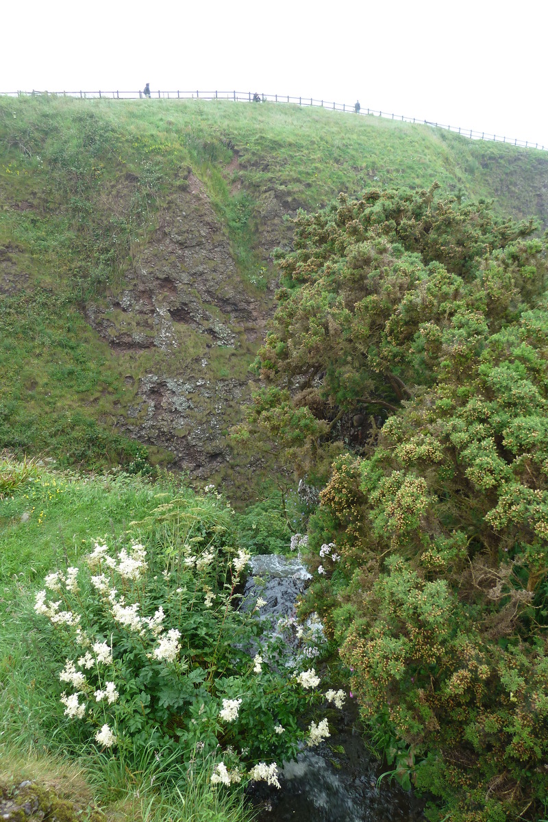 รูปถ่าย อังกฤษ(United Kingdom) สกอตแลนด์(Scotland) ปราสาทดันนอตตาร์(Dunnottar Castle) 2011-07 15