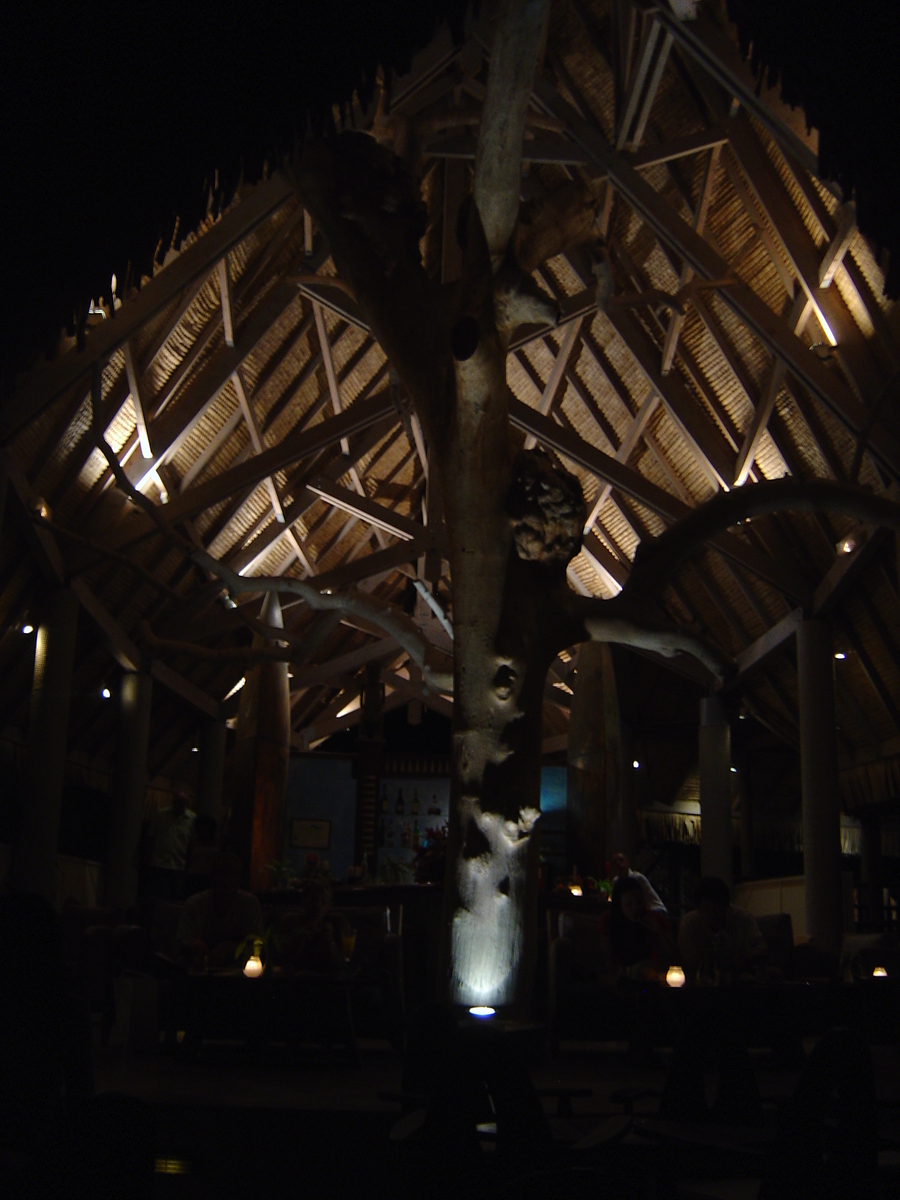 รูปถ่าย เฟรนช์โพลี่นีเซีย(Polynesia) โรงแรมเลอเมอริเดียน โบราโบรา(Meridien Bora Bora Hotel) 2006-04 209