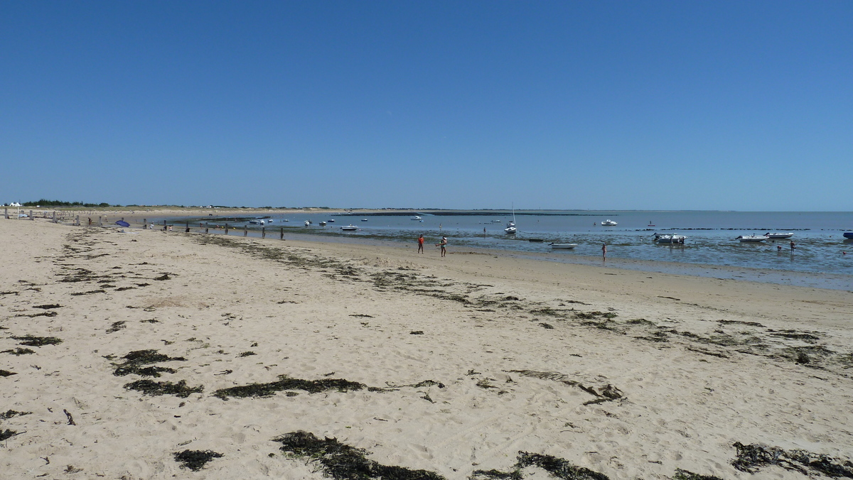 รูปถ่าย ฝรั่งเศส(France) นีวร์มูทีเย(Noirmoutier) 2010-07 33