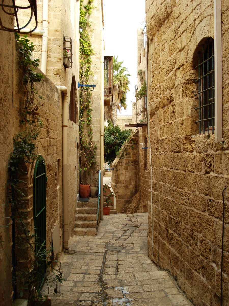 รูปถ่าย อิสราเอล(Israel) จาฟา(Jaffa) 2006-12 2
