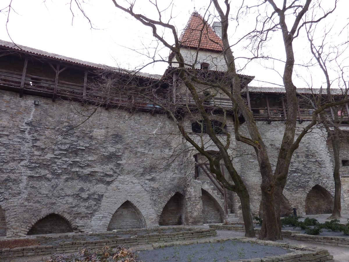 รูปถ่าย เอสโตเนีย(Estonia) ทาลลินน์(Tallinn) เมืองเก่าทาลลินน์(Old Tallinn) 2009-04 29