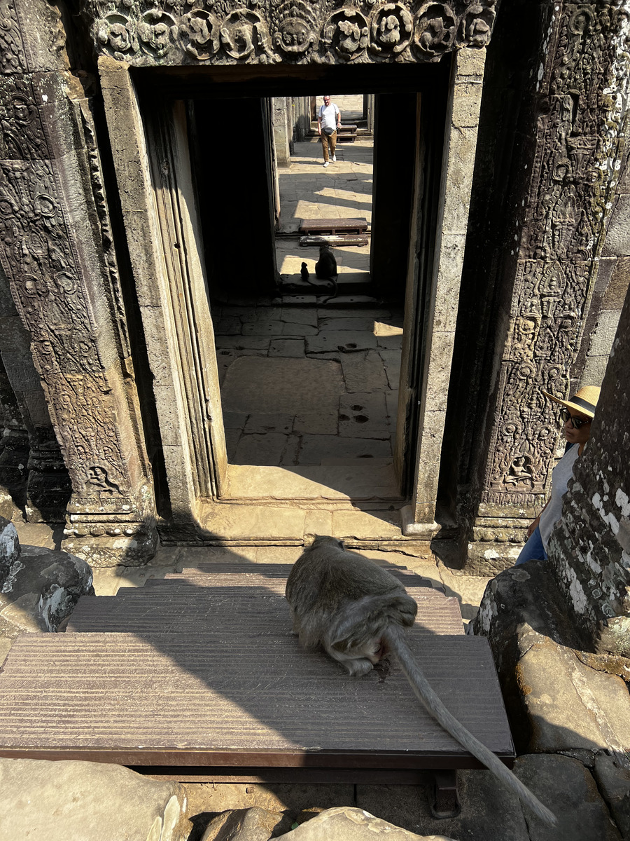 รูปถ่าย กัมพูชา(Cambodia) เสียมราฐ(Siem Reap) ปราสาทบายน(Bayon) 2023-01 109