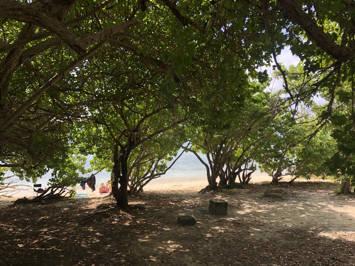 รูปถ่าย กวาเดอลูป(Guadeloupe) แซ็งฟร็องซัว(Saint Francois) 2021-02 24