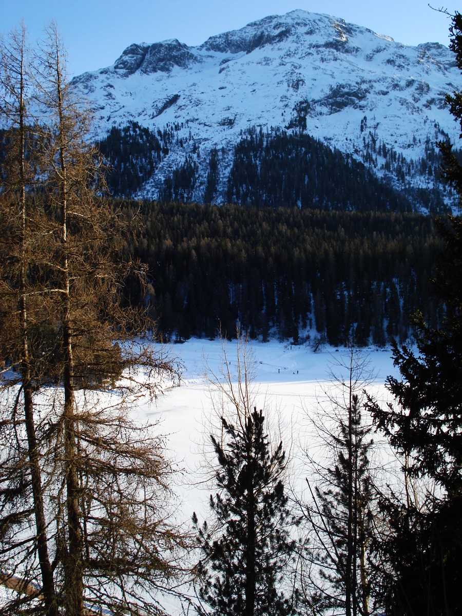 รูปถ่าย สวิสเซอร์แลนด์(Switzerland) เซนต์มอริตซ์ ชลาริญญา(St Moritz Schlarigna) 2007-01 47