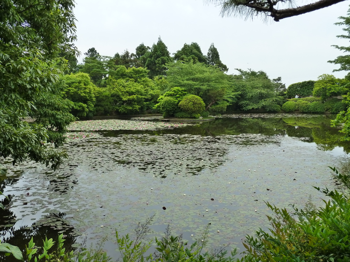 รูปถ่าย ญี่ปุ่น(Japan) เกียวโต(Kyoto) วัดเรียวอันจิ(Ryoanji Temple) 2010-06 2