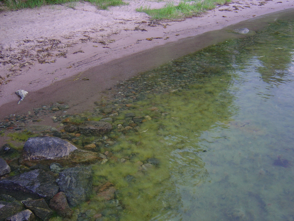 รูปถ่าย สวีเดน(Sweden) สตาฟนาส(Stavnas) 2005-06 3